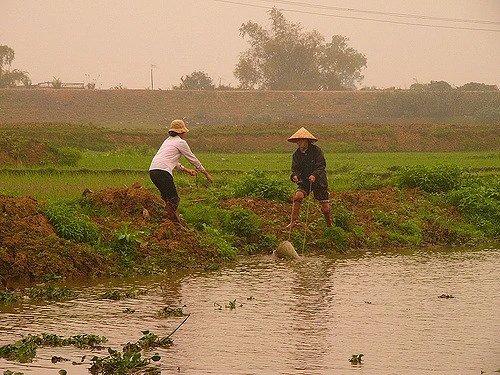 Hình ảnh người nông dân đang tát nước